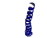 Basic Leucine Zipper Transcription Factor, ATF Like Protein 2 (BATF2)