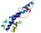 Basic Transcription Factor 3 Like Protein 4 (BTF3L4)