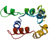 Bcl10 Interacting CARD Protein (BinCARD)