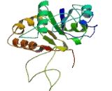 Beta-1,3-Galactosyltransferase 2 (b3GALT2)