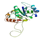 Beta-1,3-Galactosyltransferase 3 (b3GALT3)