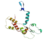 Beta-1,3-Galactosyltransferase 6 (b3GALT6)