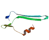 Beta-1,3-N-Acetylgalactosaminyltransferase 2 (b3GALNT2)