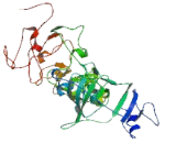 Beta-1,3-N-Acetylglucosaminyltransferase 1 (b3GNT1)