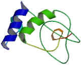 Beta-1,3-N-Acetylglucosaminyltransferase 2 (b3GNT2)