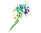 Beta-1,3-N-Acetylglucosaminyltransferase 3 (b3GNT3)