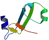 Beta-1,3-N-Acetylglucosaminyltransferase 4 (b3GNT4)