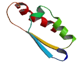 Beta-1,3-N-Acetylglucosaminyltransferase 7 (b3GNT7)