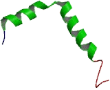 Beta-1,3-N-Acetylglucosaminyltransferase 8 (b3GNT8)