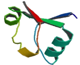 Beta-1,3-N-Acetylglucosaminyltransferase 9 (b3GNT9)