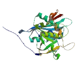 Beta-1,4-Galactosyltransferase 6 (b4GALT6)