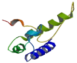 Beta-1,4-N-Acetyl Galactosaminyl Transferase 1 (b4GALNT1)