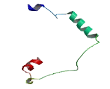 Beta-1,4-N-Acetyl Galactosaminyl Transferase 4 (b4GALNT4)