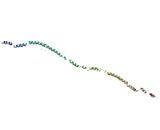 Bicaudal D Homolog 2 (BICD2)