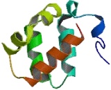 Bifunctional Apoptosis Regulator (BFAR)