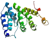 Biogenesis Of Lysosomal Organelles Complex 1, Subunit 3 (BLOC1S3)