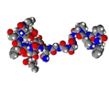 Bivalirudin (BV)