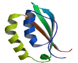 BolA Like Protein 3 (BOLA3)