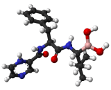 Bortezomib (BTZ)