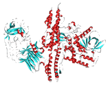 Botulinum Toxin (BTX)