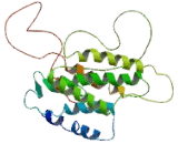 Bradykinin Receptor B1 (BDKRB1)