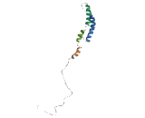 Brain Abundant, Membrane Attached Signal Protein 1 (BASP1)