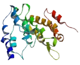 Brain And Reproductive Organ Expressed Protein (BRE)