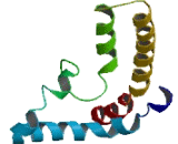 Brain Expressed Protein, X-Linked 2 (BEX2)