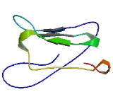 Mitochondrial Pyruvate Carrier Protein 1 (MPC1)