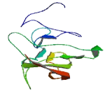 Brain Specific Membrane Anchored Protein (BSMAP)