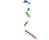 Breast Cancer Metastasis Suppressor 1 Like Protein (BRMS1L)