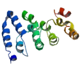 Breast Carcinoma Amplified Sequence 4 (BCAS4)