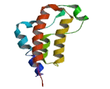 Bromodomain, Testis Specific (BRDT)