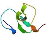 Bromodomain Adjacent To Zinc Finger Domain Protein 1A (BAZ1A)