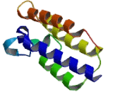 Bromodomain And WD Repeat Containing Protein 3 (BRWD3)