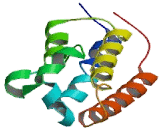 Bromodomain Containing Protein 2 (BRD2)