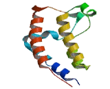 Bromodomain Containing Protein 3 (BRD3)