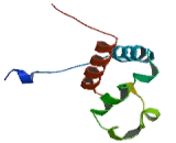 Bromodomain Containing Protein 4 (BRD4)