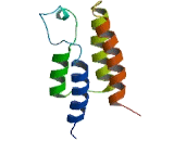 Bromodomain Containing Protein 7 (BRD7)