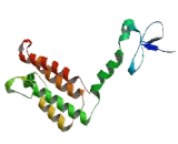 Bromodomain PHD Finger Transcription Factor (BPTF)