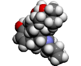 Buprenorphine (BNP)