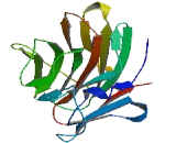 Butyrophilin Subfamily 2, Member A1 (BTN2A1)