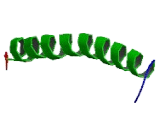 C-Myc Binding Protein (MYCBP)