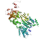 C-Myc Promoter Binding Protein (MYCPBP)