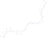 C-Peptide (CP)