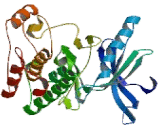 C-Ros Oncogene 1, Receptor Tyrosine Kinase (ROS1)