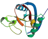 C-Type Lectin Domain Family 3, Member B (CLEC3B)