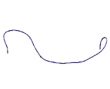 C1q And Tumor Necrosis Factor Related Protein 2 (C1QTNF2)