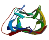 C1q And Tumor Necrosis Factor Related Protein 5 (C1QTNF5)