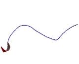 C1q And Tumor Necrosis Factor Related Protein 9 (C1QTNF9)